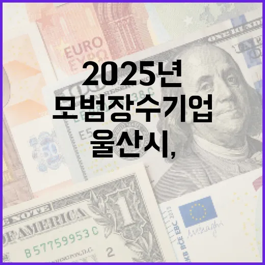 울산시, 2025년 모범장수기업 모집 시작