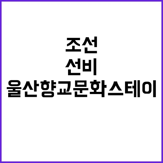 조선 선비 체험, …
