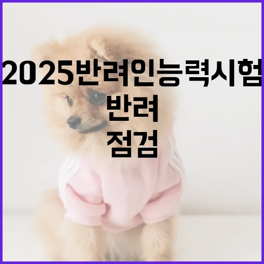 2025 반려인 능력시험으로 반려생활 점검하세요