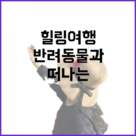 경기도 반려동물과 떠나는 힐링 여행