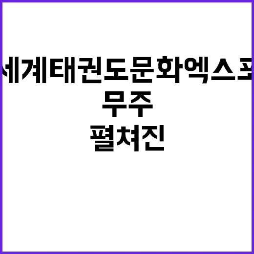 무주서 펼쳐진 세계태권도문화엑스포