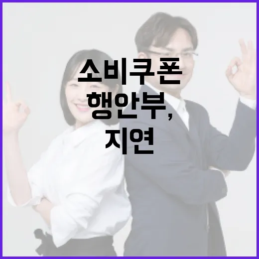 행안부, 소비쿠폰 시스템 지연 신속 복구