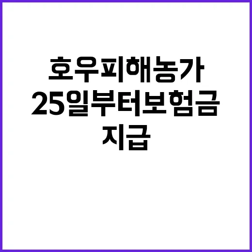 집중호우 피해 농가…
