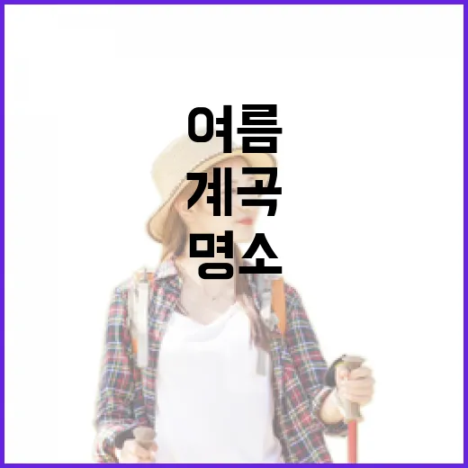 전남 계곡 BEST 6, 여름 피서 명소