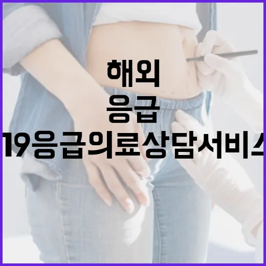 해외서도 안심! 119응급의료상담서비스