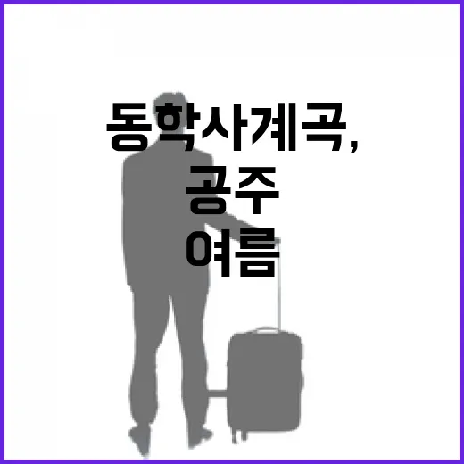 공주 동학사 계곡, 여름 피서 명소