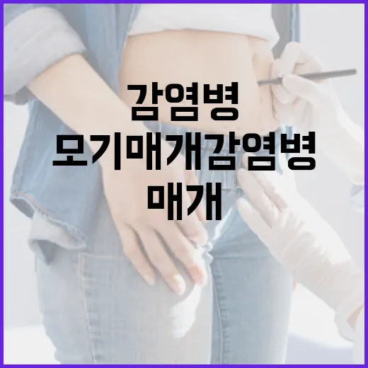 모기매개감염병 철저 대비법