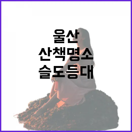 울산 슬도등대, 바다와 예술이 만나는 산책 명소