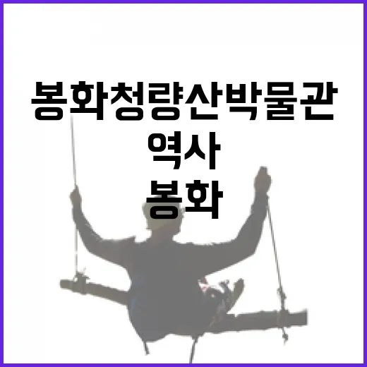 봉화 청량산박물관에서 만나는 깊은 역사와 자연