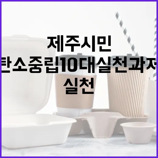 제주시민과 함께하는 탄소중립 10대 실천과제