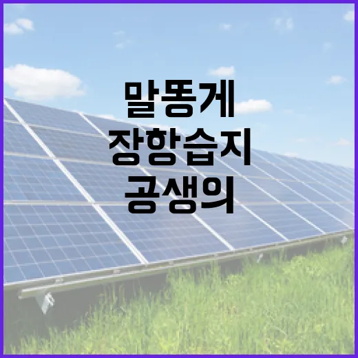 장항습지의 말똥게와 선버들, 공생의 비밀