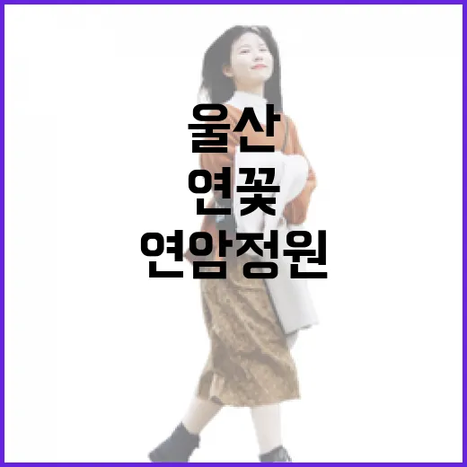 울산 연암정원, 통나무다리와 연꽃의 매력