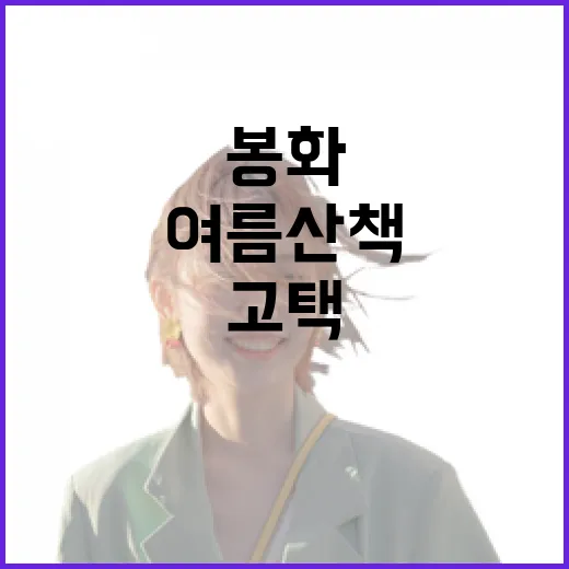 봉화 고택에서 만나는 여름 산책의 여유