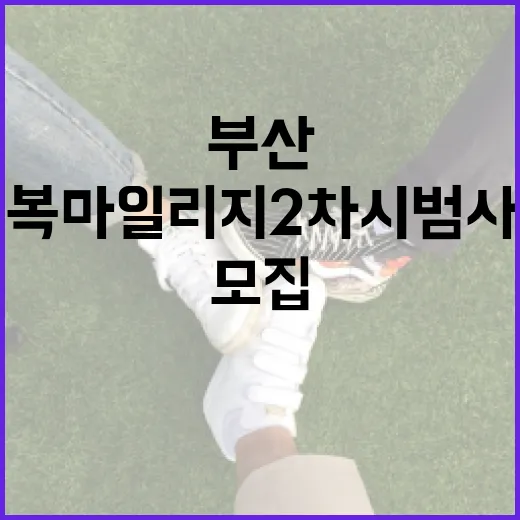 부산 행복마일리지 2차 시범사업 참여자 모집 시작