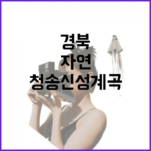 경북 청송 신성계곡, 자연과 역사를 품다