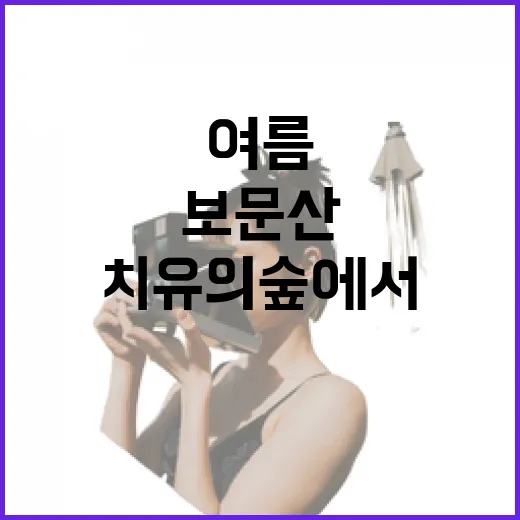 보문산 치유의 숲에서 여름 힐링 산책