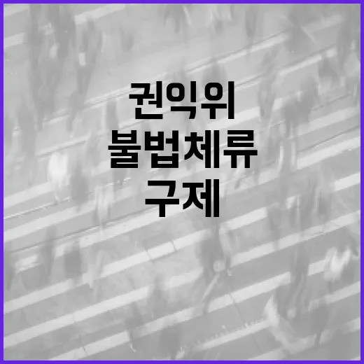 불법체류 경력 구제, 국민권익위 법무부에 권고