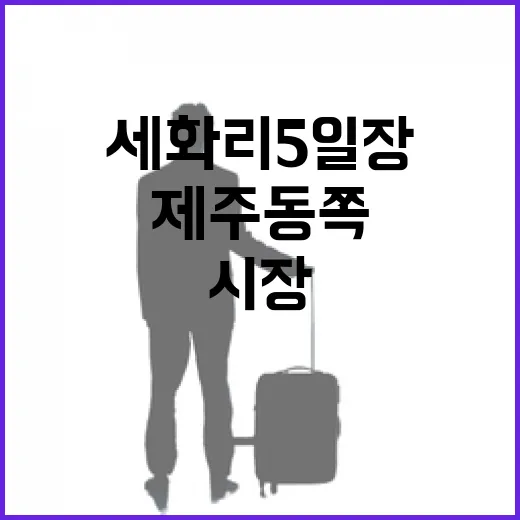 세화리 5일장, 제주 동쪽 전통시장 명소