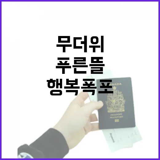 세종 푸른뜰 행복폭포, 무더위 식히는 도심 속 쉼터