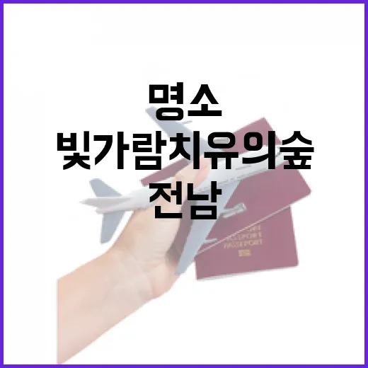 전남 빛가람 치유의 숲, 도심 속 힐링 명소