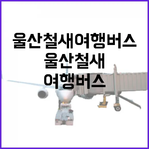 울산 철새여행버스, 자연과 만나는 특별한 여정