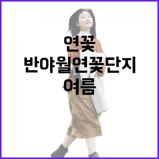 장산, 부산의 역사와 자연을 품다