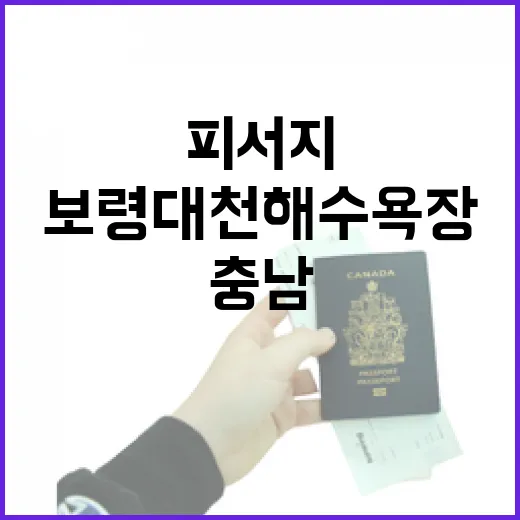 보령 대천해수욕장, 여름철 충남 대표 피서지
