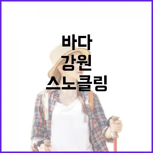강원 바다에서 즐기는 스노클링과 카누