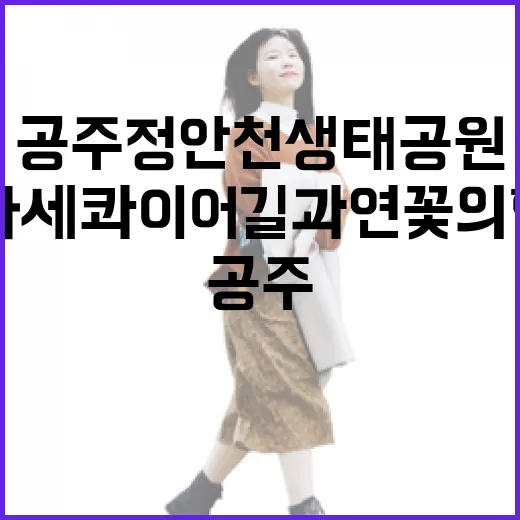 공주 정안천생태공원 메타세쿼이아길과 연꽃의 향연