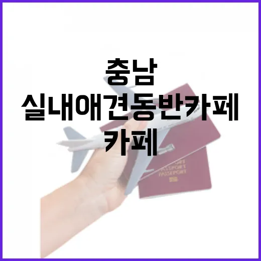 충남 실내 애견 동반 카페 완벽 가이드