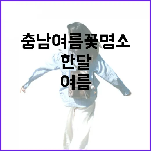 충남 여름꽃 명소 한달의 아름다움