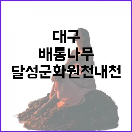 대구 달성군 화원 천내천 배롱나무 산책길
