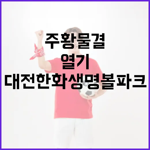 주황 물결 속 대전한화생명볼파크의 열기