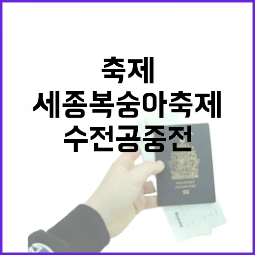 세종복숭아축제 수전공중전, 가족과 함께한 물놀이 축제