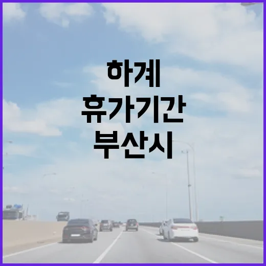 부산시, 2025년 하계 휴가 기간 승용차요일제 일시 해제