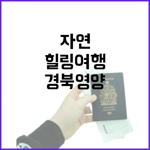 경북 영양에서 만나는 자연과 전통의 힐링 여행