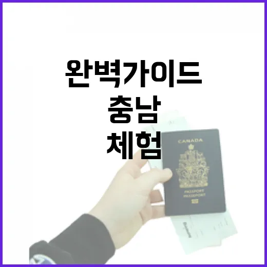 충남 실내 체험 명소 완벽 가이드