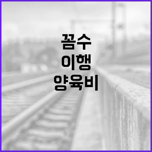 양육비 꼼수 이행 막는다, 제도 개선 착수