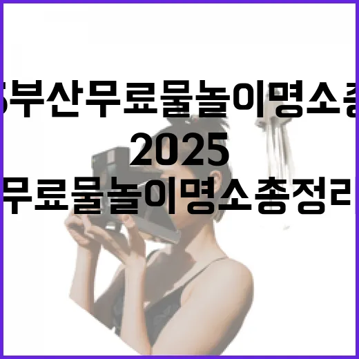 2025 부산 무료 물놀이 명소 총정리