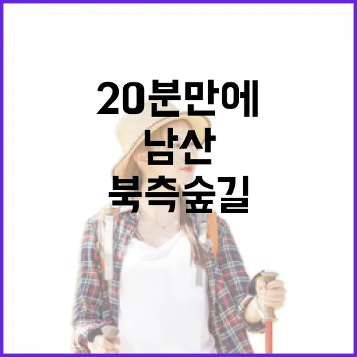남산 북측숲길, 20분 만에 정상 연결