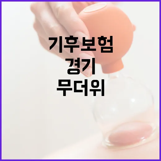 경기 기후보험으로 무더위 건강 지키세요