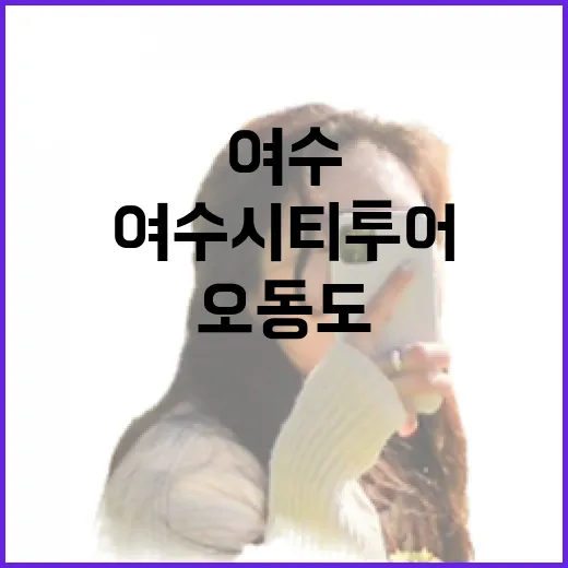 여수 시티투어로 만나는 오동도와 향일암
