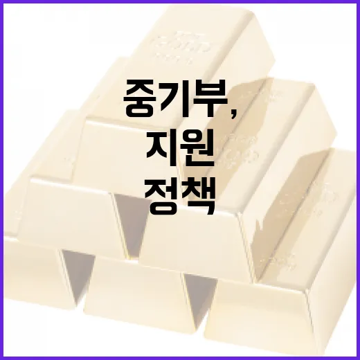 중기부, 소상공인 점포매입 정책금융 지원 사실 아냐