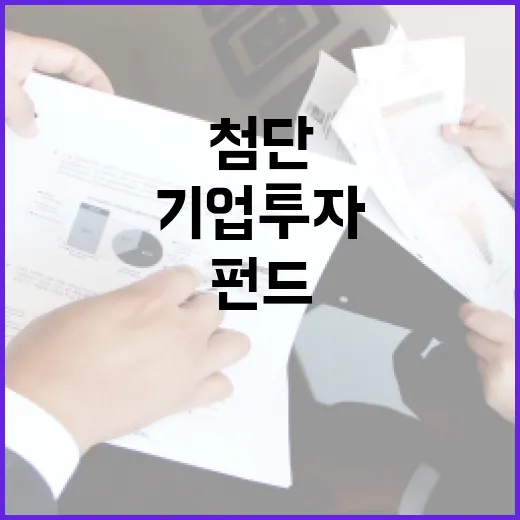 금융위, 첨단기업 투자 펀드 규모 미확정 밝혀
