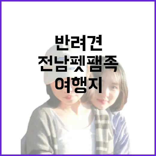 전남 펫팸족 위한 반려견 동반 여행지