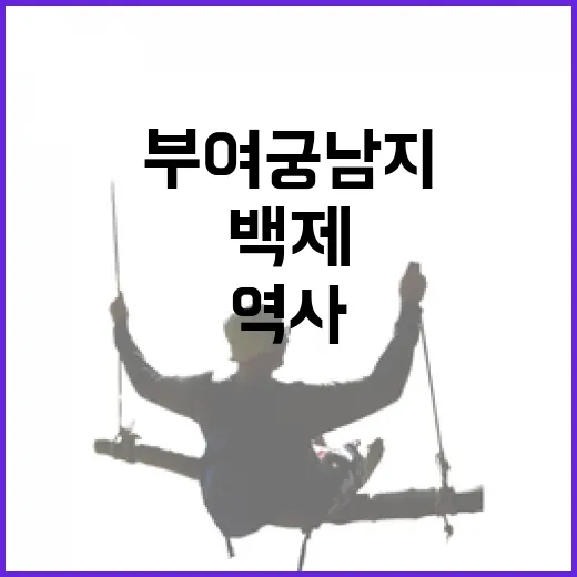 백제 역사 품은 부여 궁남지 연꽃 향연