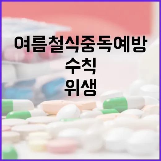 여름철 식중독 예방, 위생수칙이 최우선
