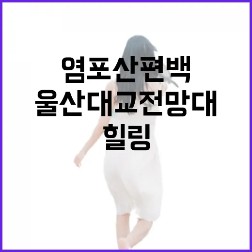 염포산 편백숲과 울산대교 전망대 힐링 산책
