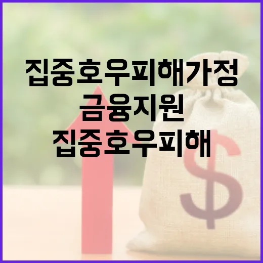 집중호우 피해 가정 금융지원 총정리
