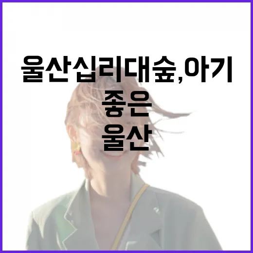 울산 십리대숲, 아기와 함께 걷기 좋은 산책길